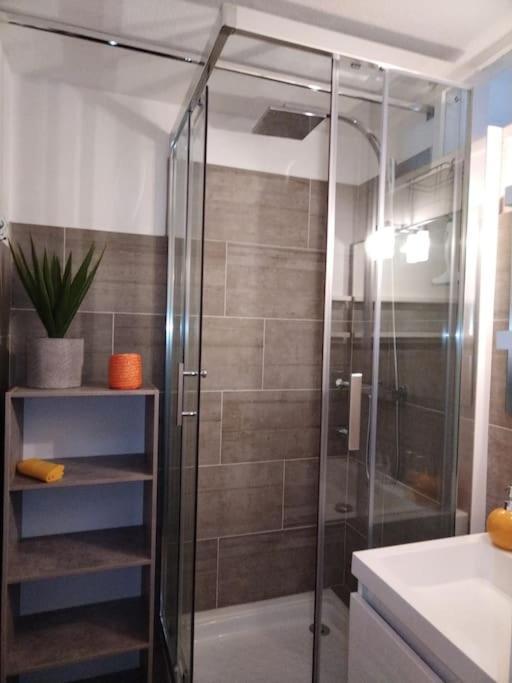 סן-לארי-סולאן Appartement Dans Une Residence Calme מראה חיצוני תמונה